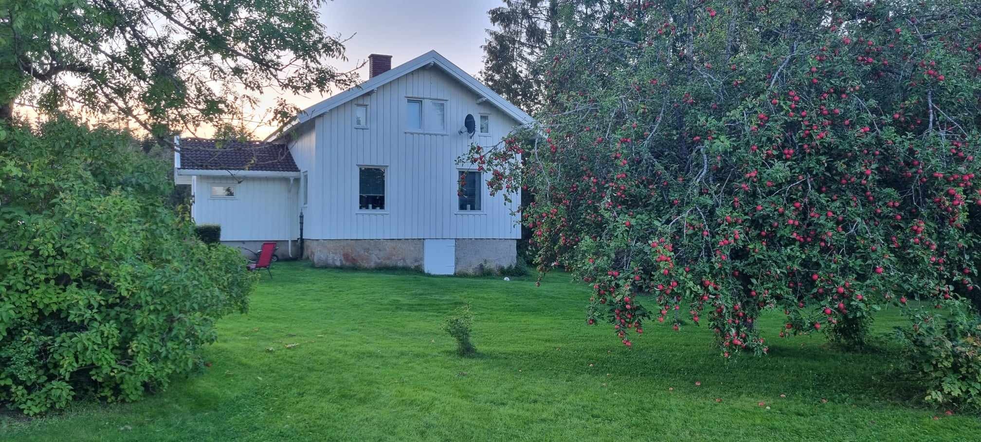 Usjenert hage tilhørende huset